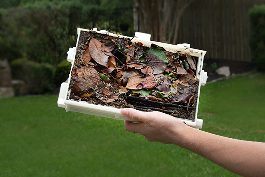 Dolphin Premier Nanofilter™ full of debris