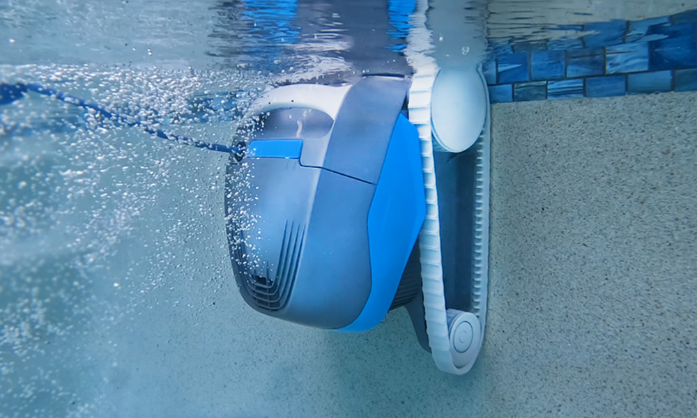 Dolphin Cayman climbing a pool wall