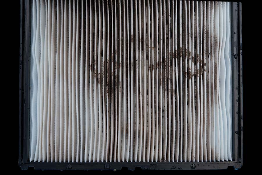 Dolphin NanoFilter Basket Dirty