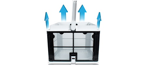 Dolphin Weekly Timer